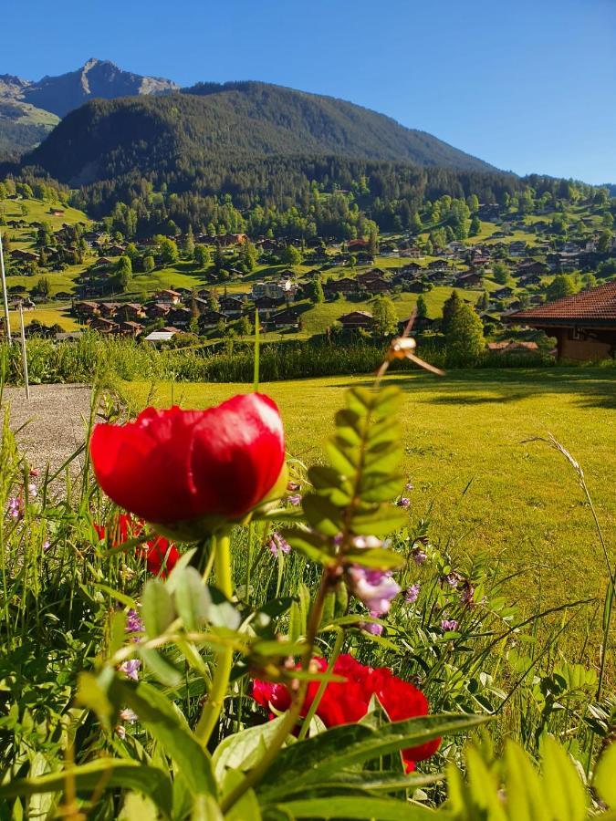 Lilalama Appartamento Grindelwald